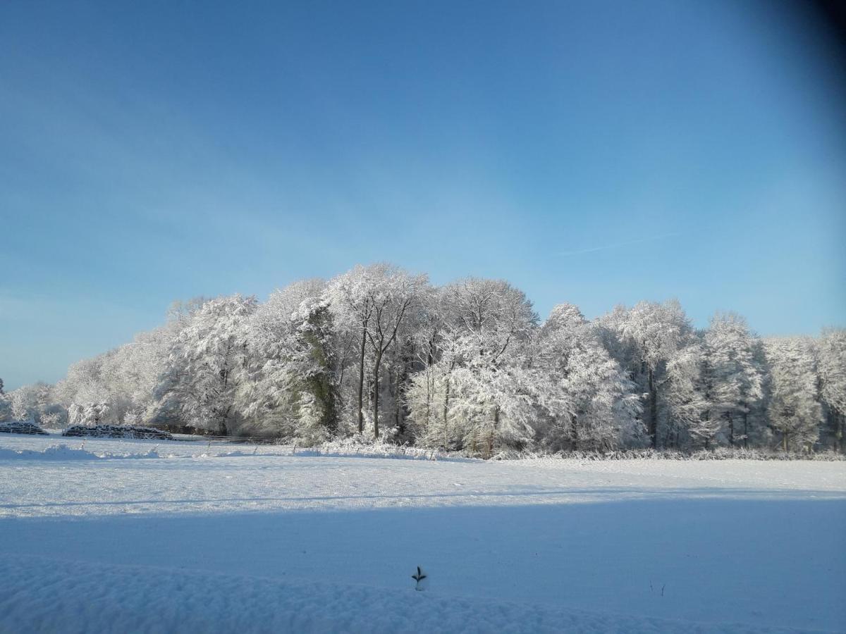 Le Clos Fleuri Sautin Exteriör bild