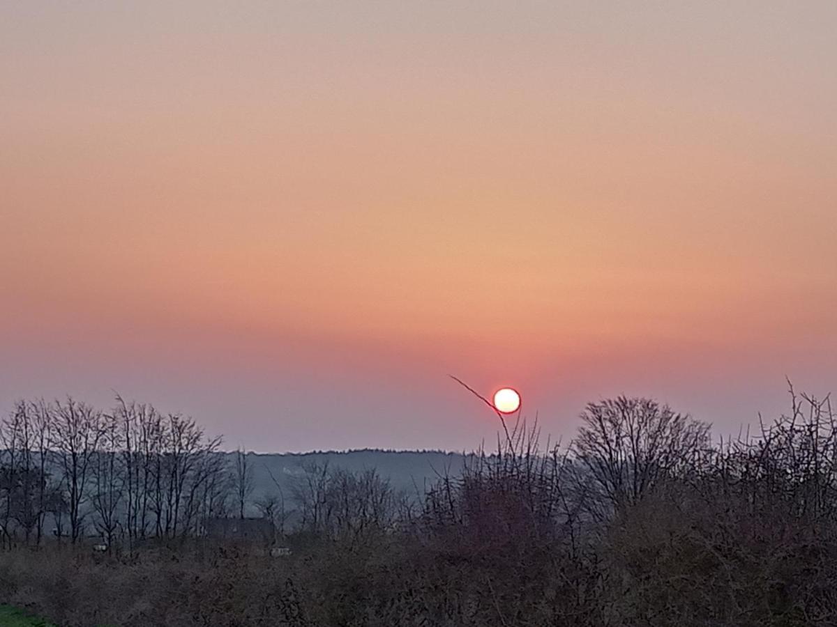 Le Clos Fleuri Sautin Exteriör bild