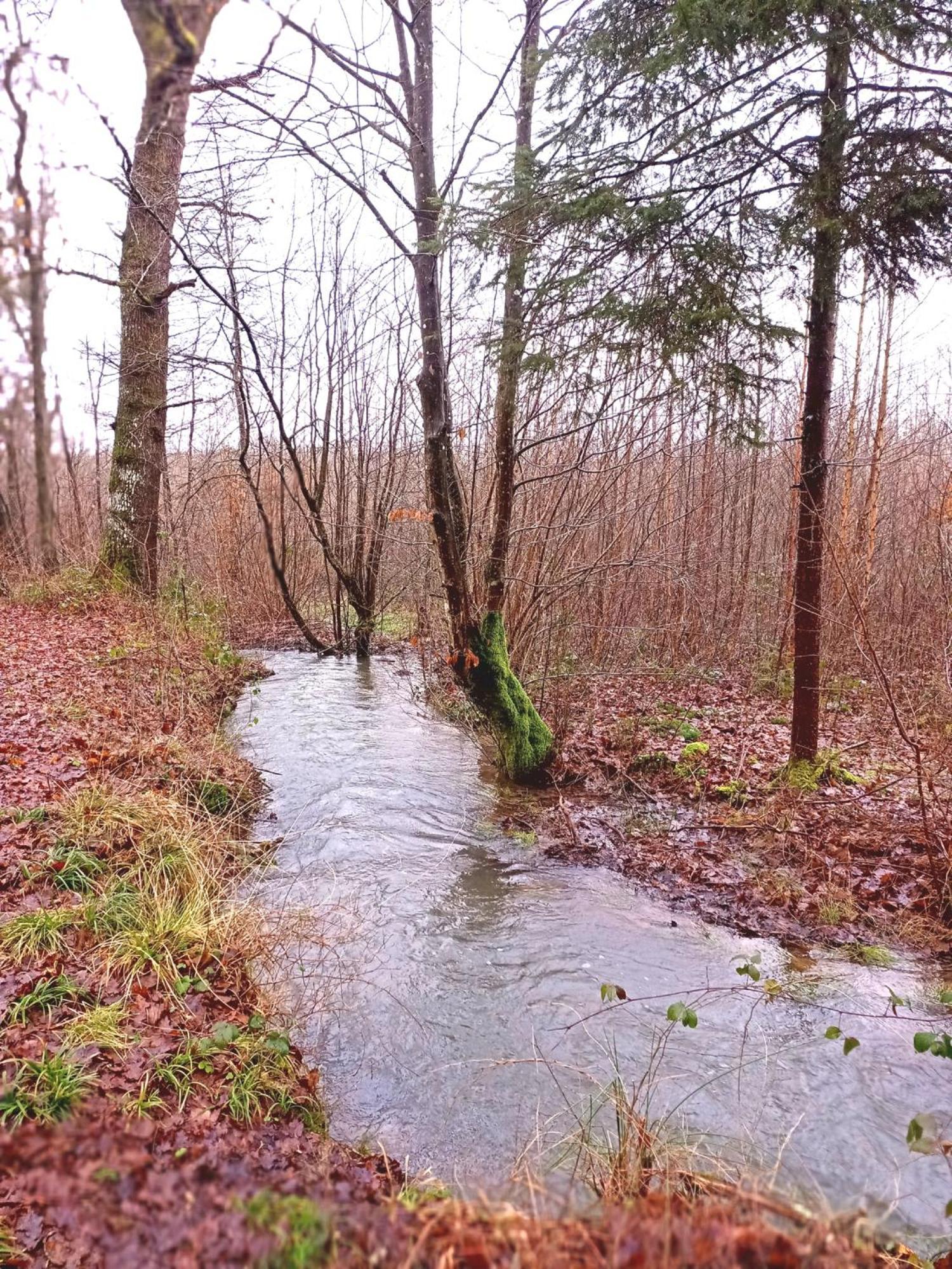 Le Clos Fleuri Sautin Exteriör bild